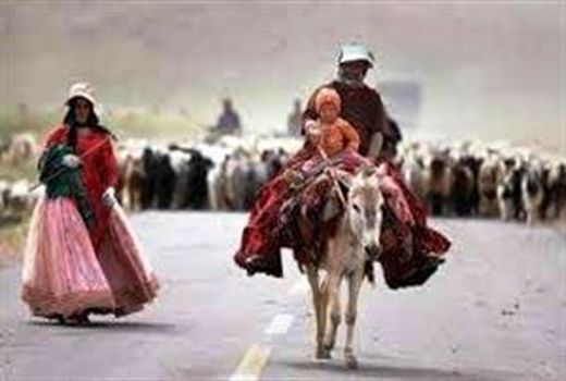 تخصیص 50 میلیارد ریال اعتبار مالیات به عشایر 