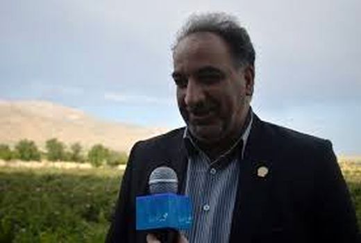 سهم 15 درصدی فارس در تولید محصولات باغی کشور