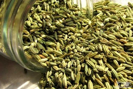 رشد ۱۰۰ درصدی سطح زیر کشت زیره سبز درشهرستان سربیشه