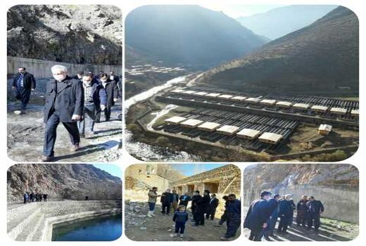 تولید ماهیان سردآبی «دیوزناو» به ۳هزار تن در سال خواهد رسید