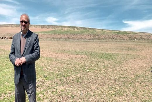 توسعه 5 برابری کشت گلرنگ در شهرستان مراغه نسبت به سال گذشته