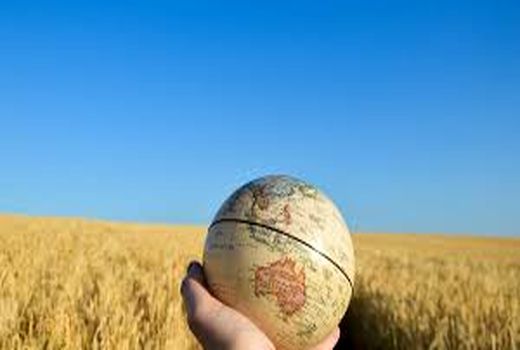 20 تولیدکننده بزرگ‌ محصولات کشاورزی در جهان به تفکیک قاره ها