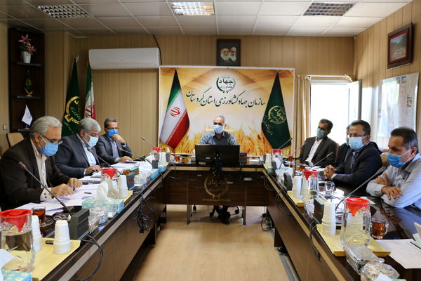 تاکنون 9.6 میلیارد تومان خسارت خشکسالی به کشاورزان کردستان پرداخت شده است