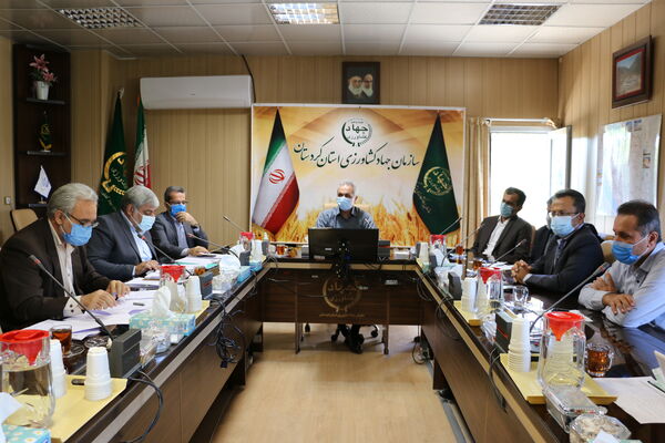 تاکنون 9.6 میلیارد تومان خسارت خشکسالی به کشاورزان کردستان پرداخت شده است