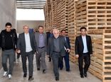 صنایع تبدیلی؛ راهبرد اصلی در کاهش ضایعات و افزایش بهره‌وری کشاورزی آذربایجان شرقی