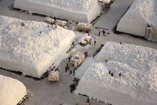 کارخانه پردازش پنبه در چین