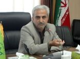 40 هزار تن چای سنواتی در انبار باقی مانده است
