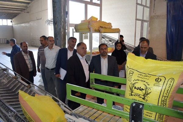 پیش بینی خرید تضمینی ۵۰ هزار تن گندم مازاد بر مصرف زارعین میاندوآب