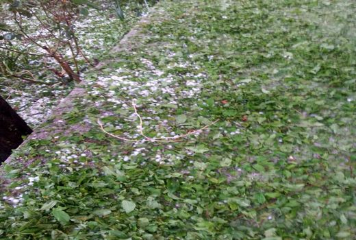 خسارت جدی به محصولات کشاورزی شهرستان  شهربابک در فروردین ماه