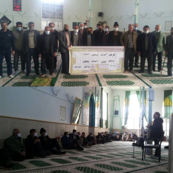 برگزاری کارگاه آموزشی آشنایی با روش‌های نوین احداث باغات در شهرستان آوج