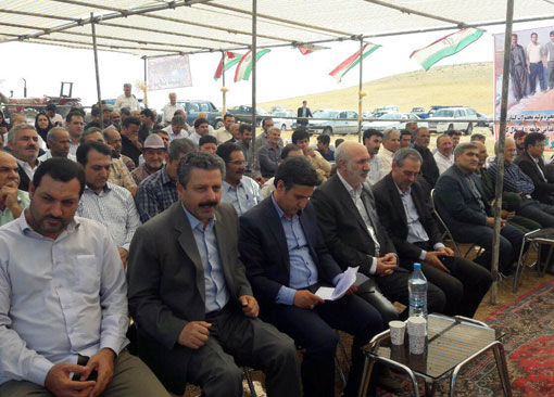 تولید بیش از ۹۰۰ هزار تن گندم در استان آذربایجان شرقی 