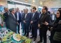 بازدید رایزنان اقتصادی وزارت امور خارجه از مؤسسه تحقیقات علوم باغبانی