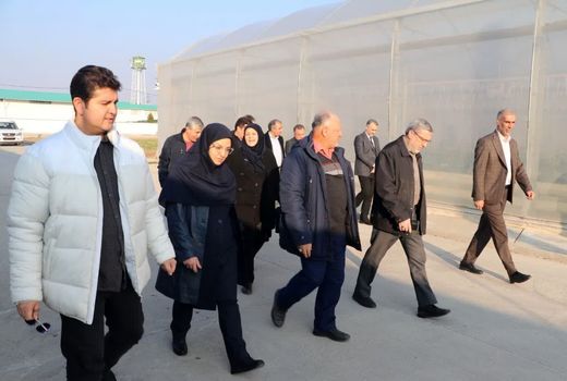 بازدید رییس سازمان حفظ نباتات از گلخانه تولید بذر هیبرید سبزی و صیفی در آبیک