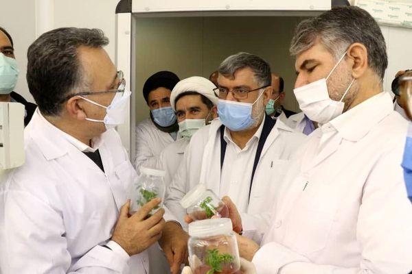 ضرورت توسعه کشاورزی دانش بنیان در کشور