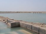 نظارت بر ۱۵ طرح پرورش میگو در اراضی واگذار شده 