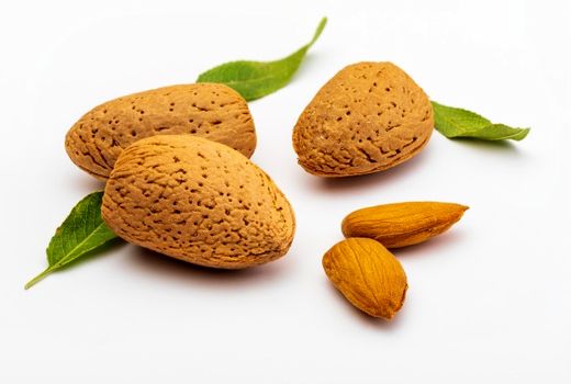 بادام سامان شهرت جهانی دارد 