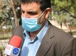 کشت انواع صیفی و سبزیجات در  ٢٠ هزار هکتار از اراضی آبی لرستان 