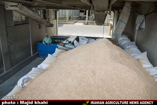 کیفیت آرد خبازی‌های استان سمنان مطلوب است