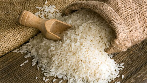 عرضه برنج هاشمی گیلان در بورس کالا