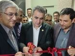 فعالیت انجمن تولیدکنندگان و صادرکنندگان بادام چهارمحال و بختیاری
