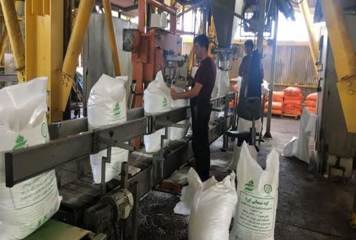 توزیع 1500 تن ، سهمیه تیرماه کود اوره بین کشاورزان خراسان شمالی