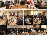 افزایش 13درصدی جوجه ریزی در استان تهران