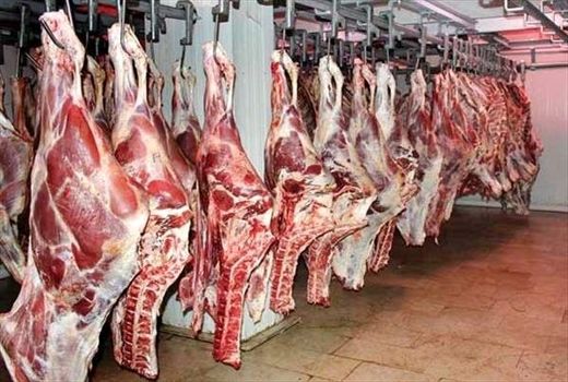 آمادگی شرکت پشتیبانی امور دام برای خرید تضمینی گوشت گوساله