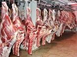 آمادگی شرکت پشتیبانی امور دام برای خرید تضمینی گوشت گوساله