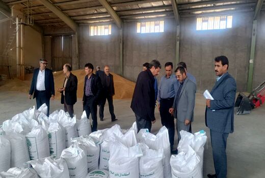 بازدید مدیر تعاون روستایی آذربایجان شرقی از مراکز بوجاری و فرآوری بذر اصلاح شده میانه
