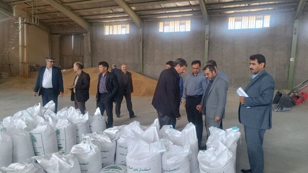 بازدید مدیر تعاون روستایی آذربایجان شرقی از مراکز بوجاری و فرآوری بذر اصلاح شده میانه