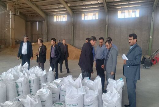 بازدید مدیر تعاون روستایی آذربایجان شرقی از مراکز بوجاری و فرآوری بذر اصلاح شده میانه