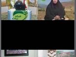ارتباط مستقیم با مرکز جهادکشاورزی شباب استان ایلام در شبکه ملی برکت