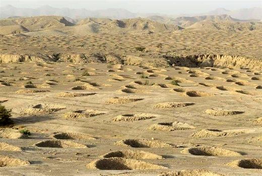 اجرای طرح هلالی در هزار هکتار از اراضی منابع طبیعی استان 