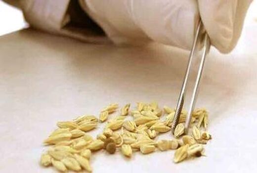 اخذ اعتبارنامه از انجمن بین المللی آزمون بذر (ایستا) و امکان صدور گواهی بین المللی بذر 