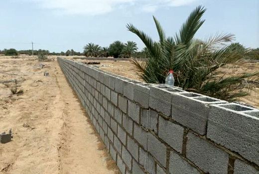 خاک‌ورزی حفاظتی باعث کاهش تغییر کاربری می‌شود