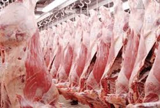 پیش‌بینی تولید 55 هزار تن تولید گوشت قرمز در استان مرکزی و رتبه سوم کشور