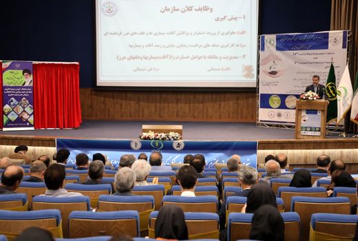 افزایش صادرات 25 درصدی محصولات با منشأ گیاهی تا پایان سال