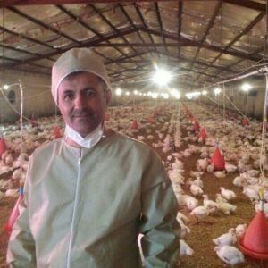 خسارت ۴۰۰میلیارد ریالی کرونا به صنعت طیور ایلام