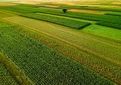    سبز بیندیش، پایدار بکار