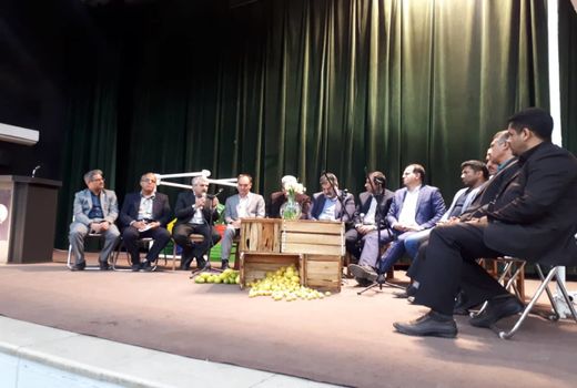 جهرم بزرگترین مرکز تولید لیمو شیرین در جهان است