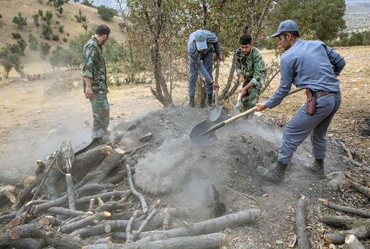دستگیری متخلفین قطع درختان جنگلی در شهرستان لردگان