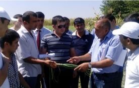  ۶ اولویت آموزش و ترویج کشاورزی برای انتقال فناوری به مزارع