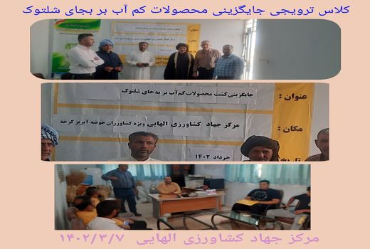 جایگزینی محصولات کم آب بر با شلتوک در اهواز