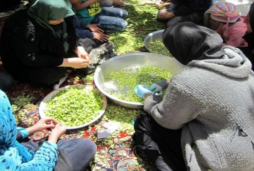 ایجاد شش صندوق اعتبارات خرد زنان روستایی در شهرستان بویین زهرا 