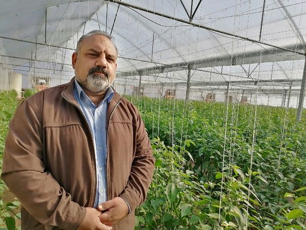 تعلل سرمایه گذاران در نهضت گلخانهای استان