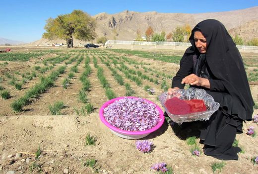 پرداخت 100 میلیارد ریال تسهیلات به بانوان در مرودشت