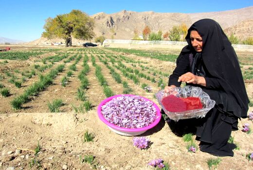 پرداخت 100 میلیارد ریال تسهیلات به بانوان در مرودشت