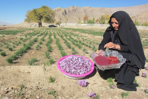 پرداخت 100 میلیارد ریال تسهیلات به بانوان در مرودشت