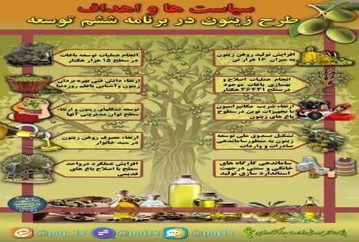 سیاست‌ها و اهداف طرح زیتون در برنامه ششم 