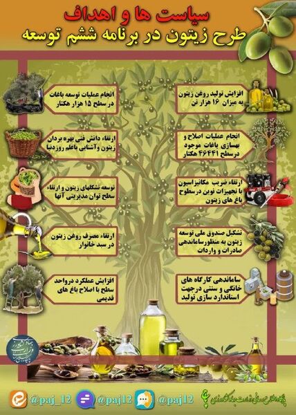 سیاست‌ها و اهداف طرح زیتون در برنامه ششم 